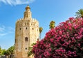 Tower of Gold Torre del Oro in Seville, Spain Royalty Free Stock Photo