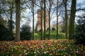 Tower of Groot-Bijgaarden ÃÂ¡astle in Belgium Royalty Free Stock Photo