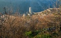 Tower of historical fortress behind the bushes pomegranate