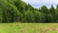 A tower for hunting in the forest Royalty Free Stock Photo