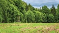 A tower for hunting in the forest Royalty Free Stock Photo