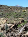 Tower of Jewels under the Teide