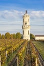 Tower of La Tour LÃ¢â¬â¢Aspic in Pauillac