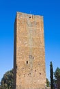 Tower of Lavello. Tuscania. Lazio. Italy. Royalty Free Stock Photo