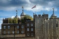 Tower of London Royalty Free Stock Photo