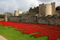 Tower of London memorial poppy display.