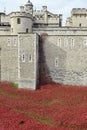 The Tower of London Moat filled with Ceramic Poppies , an art installation named Blood Swept Lands and Seas of Red.