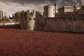 Tower of London 12 Nov 14. Ceramic poppies installation