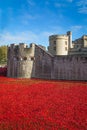 Tower of London 12 November 14. Ceramic poppies installation by