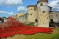 Tower of London Poppies