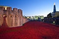 Tower of London and Poppies at Dusk Royalty Free Stock Photo