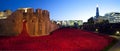 Tower of London and Poppies at Dusk Royalty Free Stock Photo