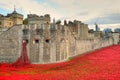 Tower of London with sea of Red Poppies to remember the fallen soldiers of WWI