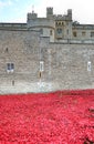 Tower of London with sea of Red Poppies to remember the fallen soldiers of WWI