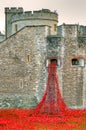 Tower of London with sea of Red Poppies to remember the fallen soldiers of WWI