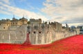 Tower of London with sea of Red Poppies to remember the fallen soldiers of WWI - 30th August 2014 - London, UK