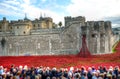 Tower of London with sea of Red Poppies to remember the fallen soldiers of WWI - 30th August 2014 - London, UK Royalty Free Stock Photo