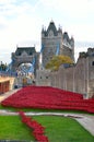 Tower of London with sea of Red Poppies to remember the fallen soldiers of WWI - 30th August 2014 - London, UK Royalty Free Stock Photo