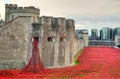 Tower of London with sea of Red Poppies to remember the fallen soldiers of WWI - 30th August 2014 - London, UK Royalty Free Stock Photo