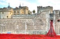 Tower of London with sea of Red Poppies to remember the fallen soldiers of WWI - 30th August 2014 - London, UK Royalty Free Stock Photo