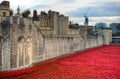 Tower of London with sea of Red Poppies to remember the fallen soldiers of WWI - 30th August 2014 - London, UK Royalty Free Stock Photo