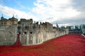 Tower of London with sea of Red Poppies to remember the fallen soldiers of WWI - 30th August 2014 - London, UK Royalty Free Stock Photo