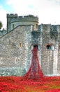 Tower of London with sea of Red Poppies to remember the fallen soldiers of WWI - 30th August 2014 - London, UK Royalty Free Stock Photo