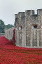 TOWER of LONDON UK Remembrance poppies