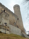 Tower long Herman of old Tallinn Royalty Free Stock Photo