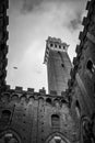 Tower mangia in black&white