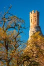 Tower of Medieval Castle Devin.