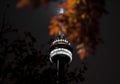 The tower in the night white lights. Autumn maple leafs. Canada, Toronto.