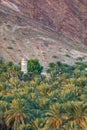 A tower over palm trees in the desert at Nizwa, Oman
