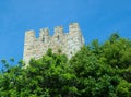 Tower of castle above the green trees Royalty Free Stock Photo