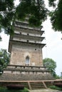 tower (pagoda) in leshan in sichuan (china)