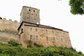 Tower, palace and walls of castle Kost