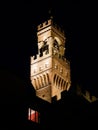 Tower of the Palazzo Vecchio in Piazza della Signoria in Florence at night Royalty Free Stock Photo