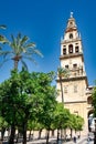 Tower and patio de los naranjos, Mezquita Cathedral Arab Wall. Cordoba City Andalusia, Spain, Europe