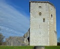 Tower and ruins of medieval castle Moncade in Orthez Royalty Free Stock Photo