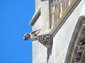 The tower of Saint Jacques, Paris. Detail