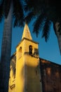 Tower of Santa Ana church framed by palm trees during sunset light, Merida, Yucatan, Mexico Royalty Free Stock Photo