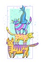 Tower from several color cats standing the friend on the friend. Royalty Free Stock Photo