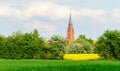 Tower of St. Martin in Nienburg