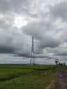 A tower telecomunication in the middle of rice field Royalty Free Stock Photo
