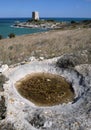 Tower and trabucco close to Vieste, Gargano Royalty Free Stock Photo