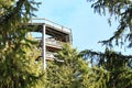 Tower of The trail trees Lipno Lookout