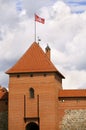 Tower of the Trakai Castle near Vilnius Royalty Free Stock Photo