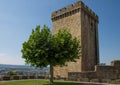 Tower and tree in castle Monforte de Lemos in Galicia, Spain