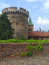 Tower with vines and breathtaking view