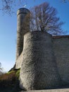 The tower and walls of Toompea Castle from the side of the road, seen through the branches of a tree with growing young leaves